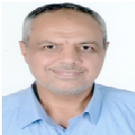 Prof. Ayman A. Aly  